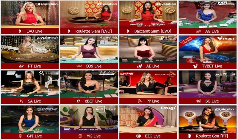 Tham gia sòng Casino - Live Casino tại nhà cái uy tín Dafabet