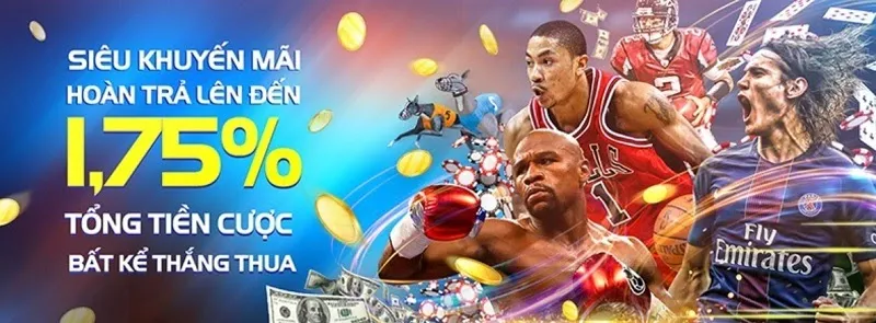 Tỷ lệ hoàn trả cao ngất chỉ có tại nhà cái 8Live