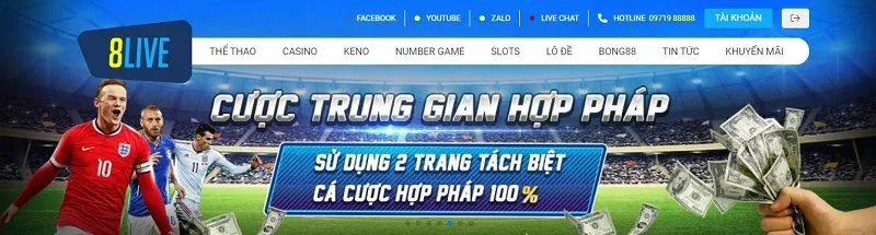 8Live - Trang cá cược trung gian hoàn toàn hợp pháp