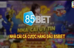 85Bet – Giới thiệu nhà cái cá cược tỷ đô không bị chặn