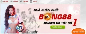 MiBet – Giới thiệu nhà cái cá cược bóng đá hot nhất làng game