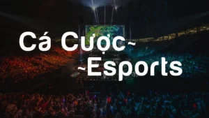 Cá cược Esports là gì? Khám phá hình thức và cách chơi chi tiết