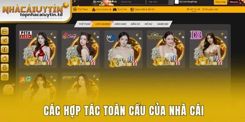 Các hợp tác toàn cầu của nhà cái