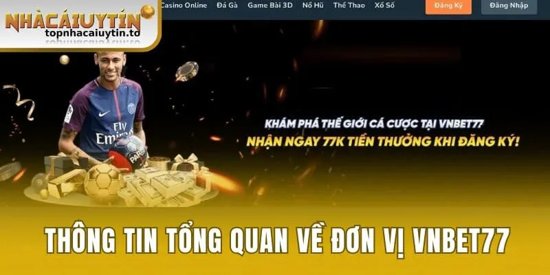 Đôi nét về đơn vị Vnbet77