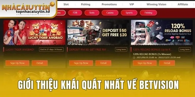 Giới thiệu khái quát nhất về Betvision 