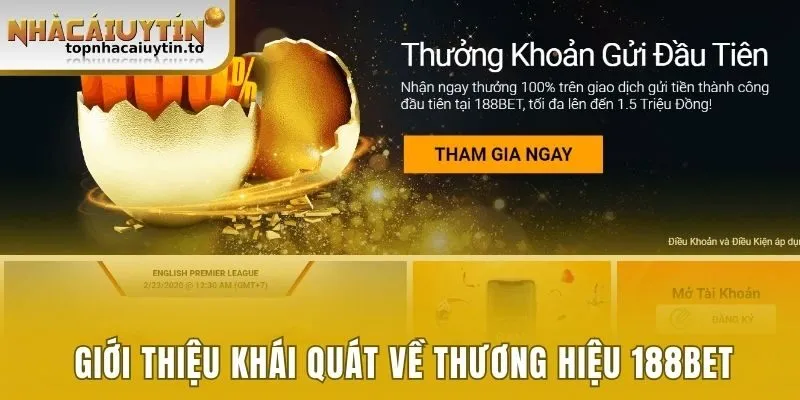 Giới thiệu khái quát nhất về thương hiệu 188bet