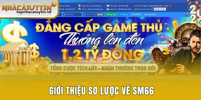 Giới thiệu sơ lược về SM66