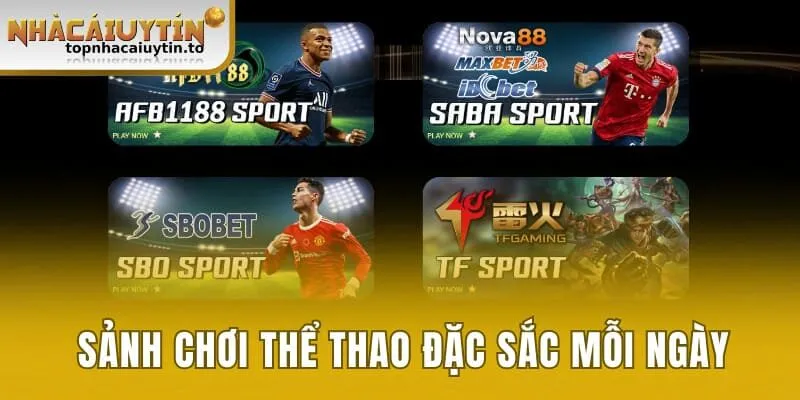 Sảnh chơi thể thao đặc sắc mỗi ngày