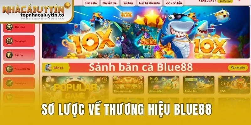 Sơ lược về thương hiệu Blue88