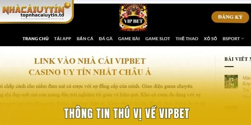 vipbet